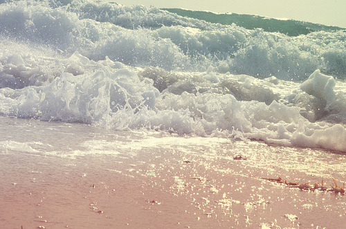  지친 당신을 위로 해주는 사진 | 인스티즈