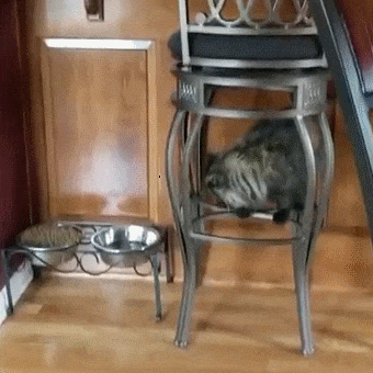 2017 마지막날엔 역시 | 인스티즈