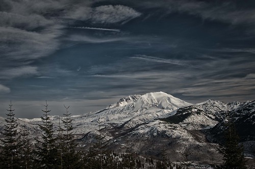  지친 당신을 위로 해주는 사진 | 인스티즈
