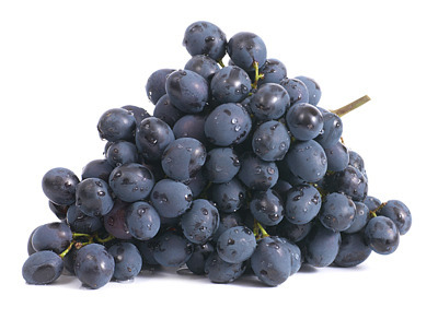 이 중 하나만 평생 무료로 먹을 수 있다면? | 인스티즈