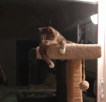 2017 마지막날엔 역시 | 인스티즈