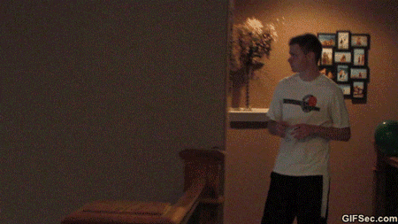 거미가 싫었던 외국인 | 인스티즈