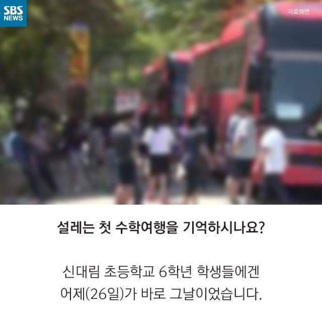 수학여행 비극막은 동승자의 비밀 | 인스티즈