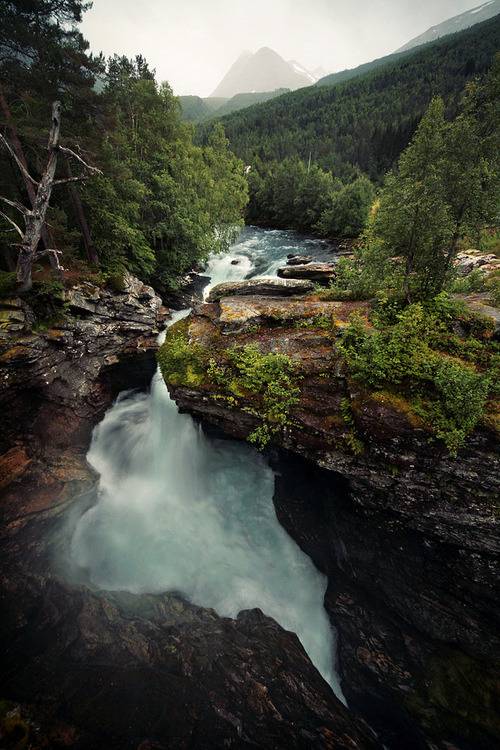  지친 당신을 위로 해주는 사진 | 인스티즈