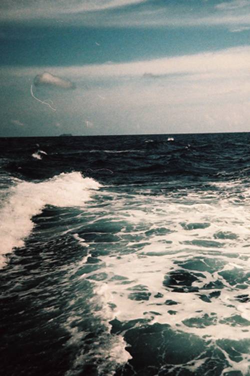  지친 당신을 위로 해주는 사진 | 인스티즈