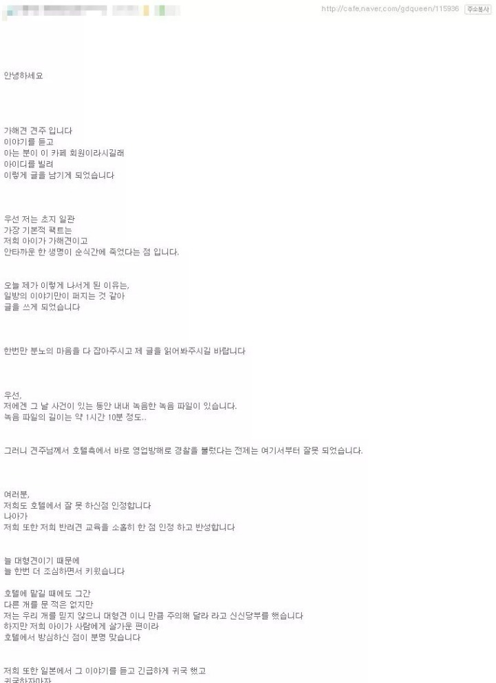 노원 애견카페 허스키 견주 글 | 인스티즈