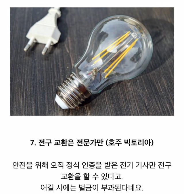 실제로 있는 각 나라의 금지법 | 인스티즈