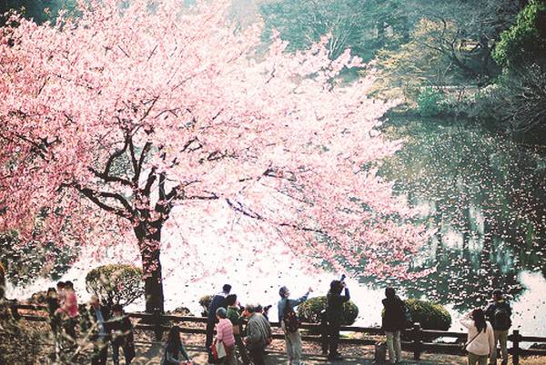 많은 사람들이 좋아하는 일본 특유의 청량감있고 아련한 분위기 | 인스티즈