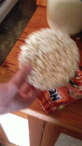 라면 전용 냄비.gif | 인스티즈