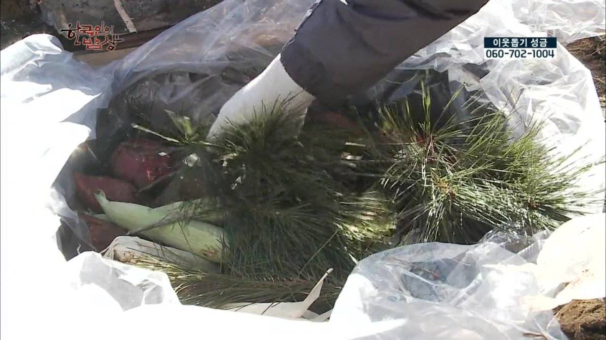 숯불로 해먹는 음식 좋아하시나요?.jpg | 인스티즈