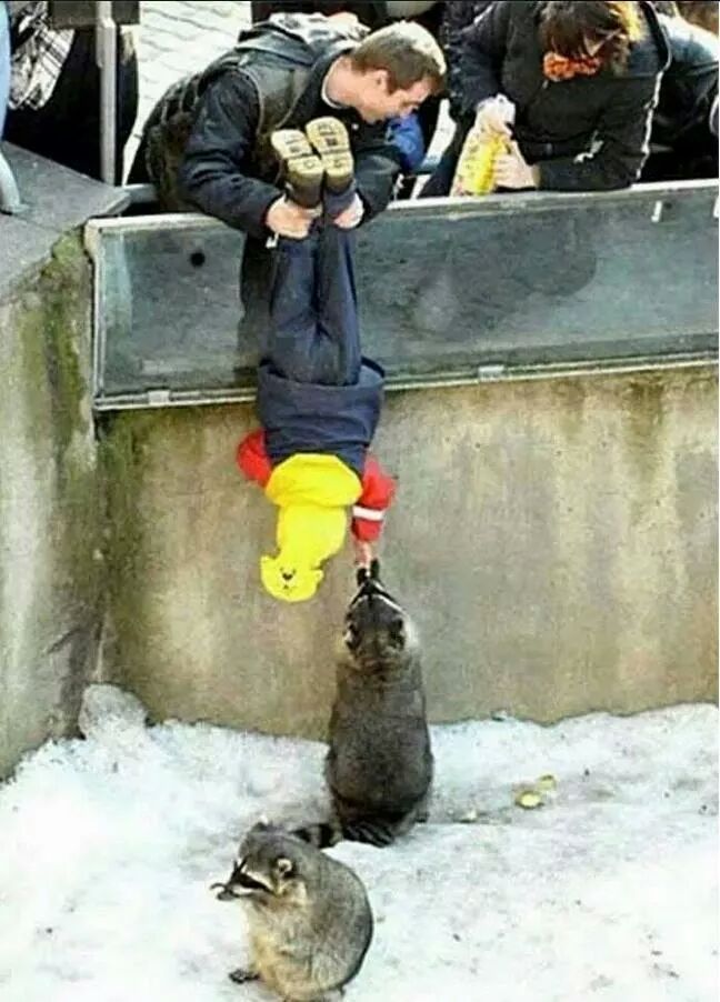 애한테 아빠를 맡기면 안되는 이유.jpgif | 인스티즈