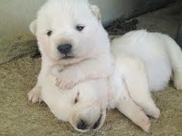 우열을 가릴수 없는 난제.jpg | 인스티즈