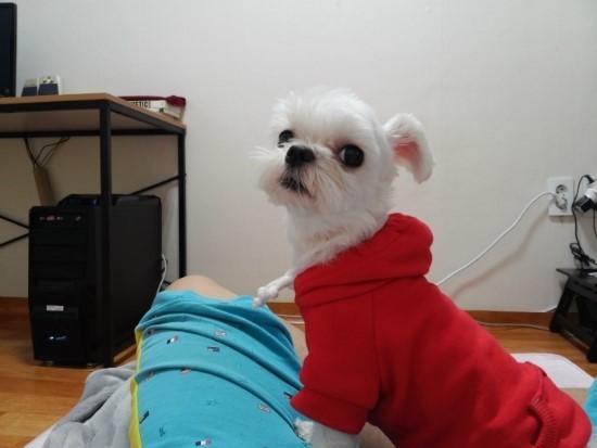 명절날 조금 짜증나는거 중 하나 | 인스티즈