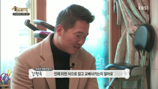 교배 업체에 보낸 후 사나워진 강아지 릴리 | 인스티즈