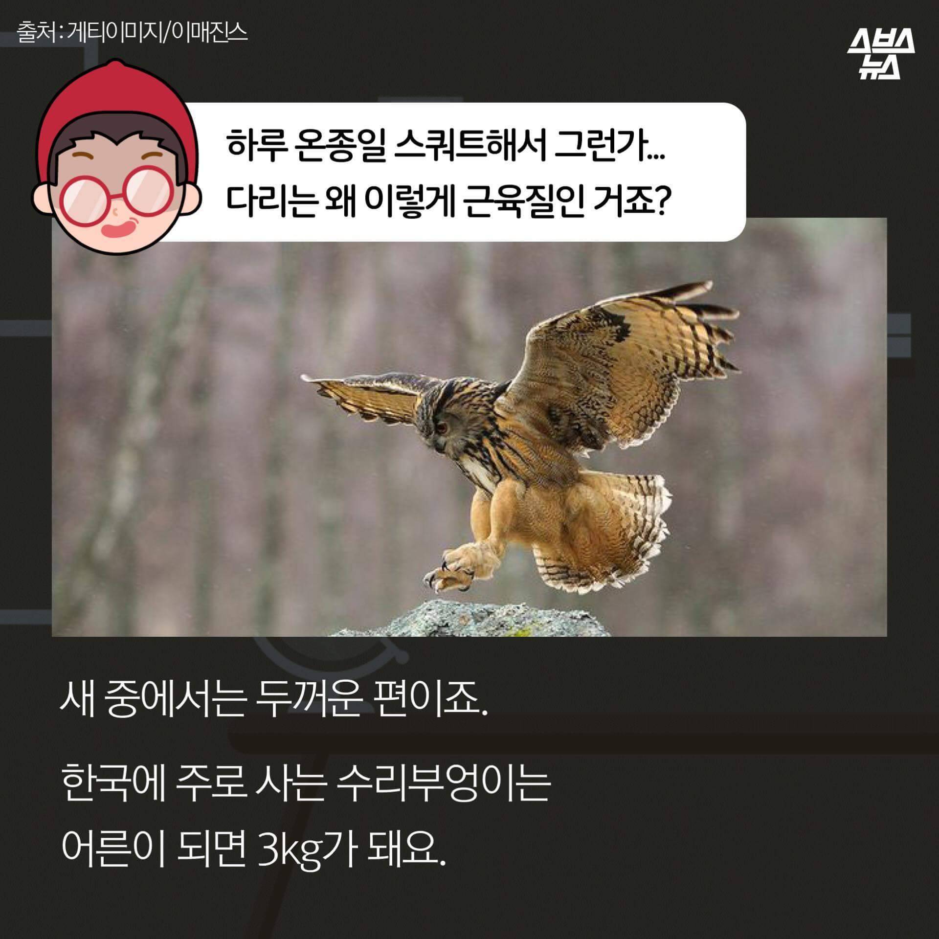 숏하지 않다고 말해부엉 | 인스티즈