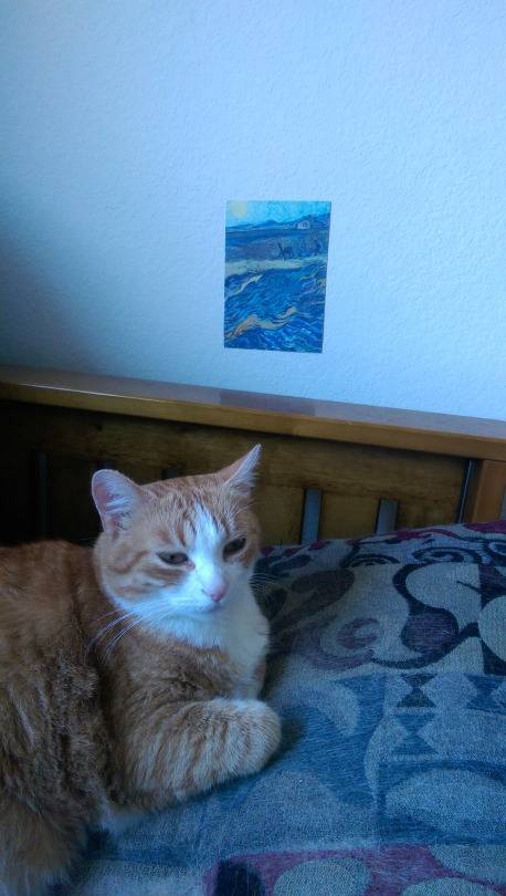 집사의 배려 | 인스티즈