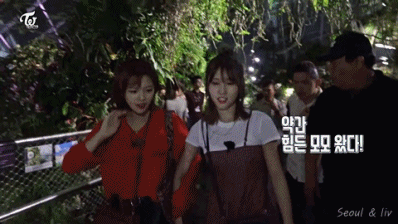 높은곳 올라간 트와이스 멤버들 반응 gif | 인스티즈
