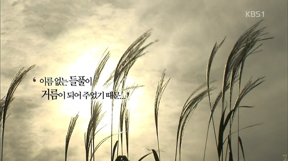 역사를 배워야 하는 EU | 인스티즈