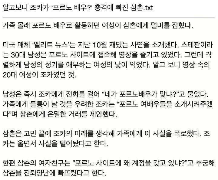 알고보니 조카가 포르노배우.jpg | 인스티즈