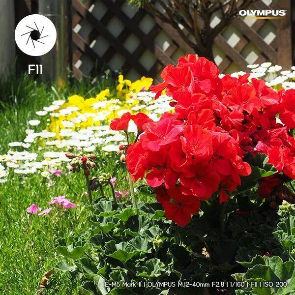 카메라 조리개 완전정복 | 인스티즈