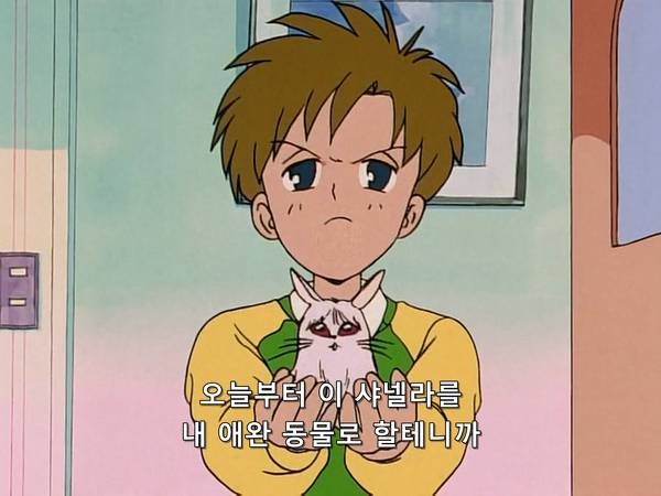 미소녀 전사 세일러문 (美少女戦士セーラームーン) 05 | 인스티즈