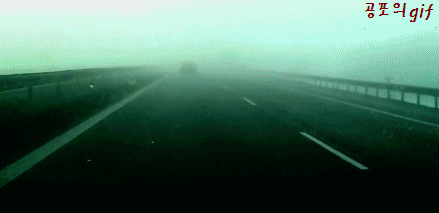 안개의 위험성.gif | 인스티즈