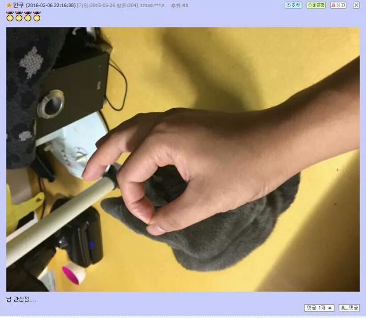 고양이앞에서 손가락 고리를 만들면.jpg | 인스티즈