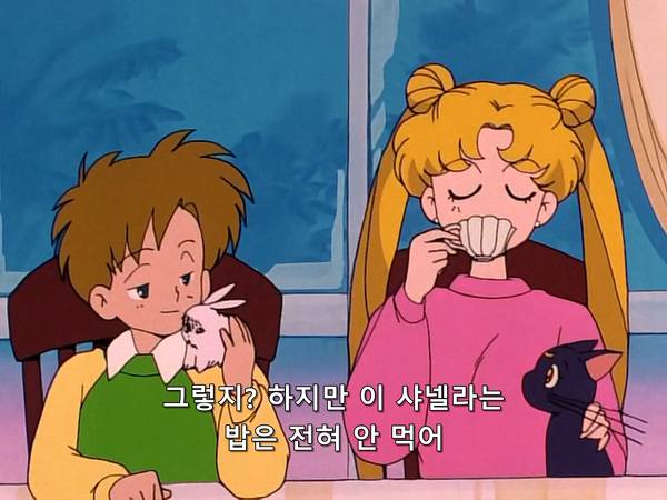 미소녀 전사 세일러문 (美少女戦士セーラームーン) 05 | 인스티즈