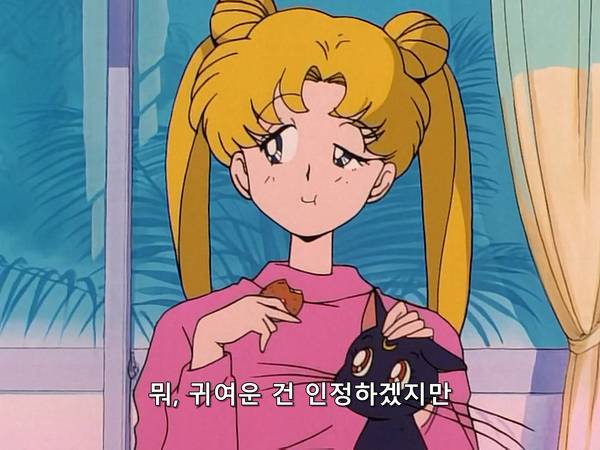 미소녀 전사 세일러문 (美少女戦士セーラームーン) 05 | 인스티즈