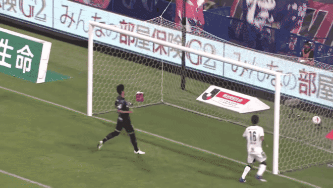 황의조가 감바팬들에게 사랑 받을 수 밖에 없는 이유.gif | 인스티즈