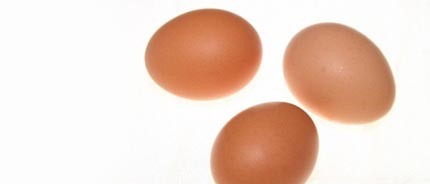 컵라면 호불호 | 인스티즈