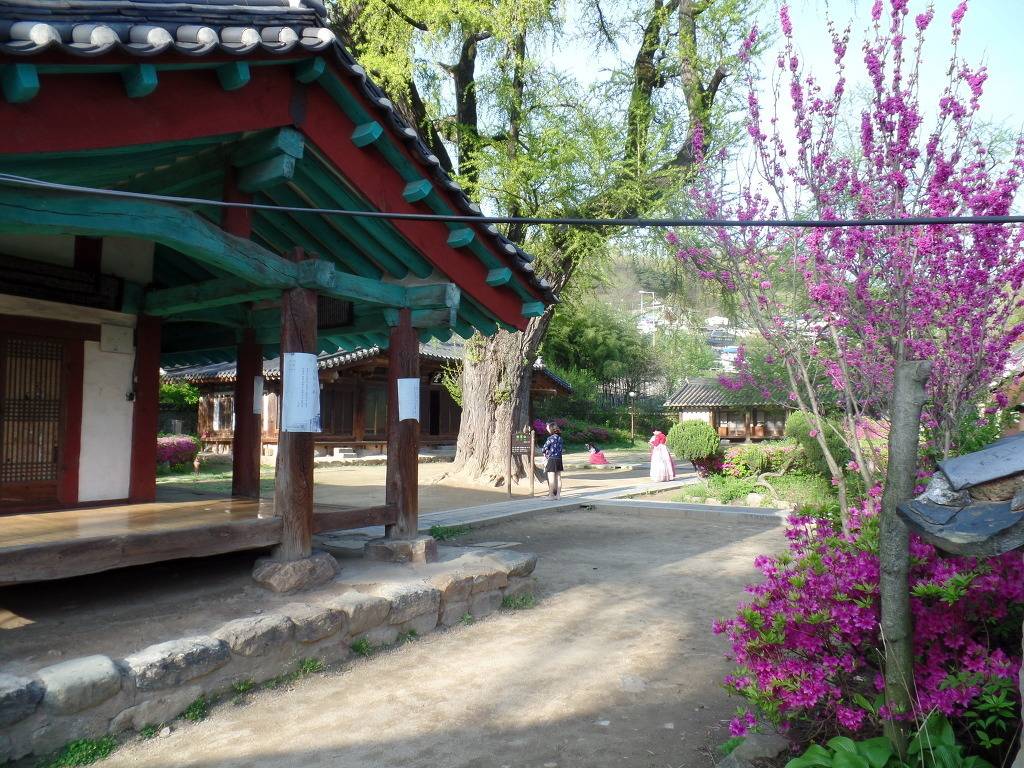 전주가면 흔히 보이는 모습 | 인스티즈