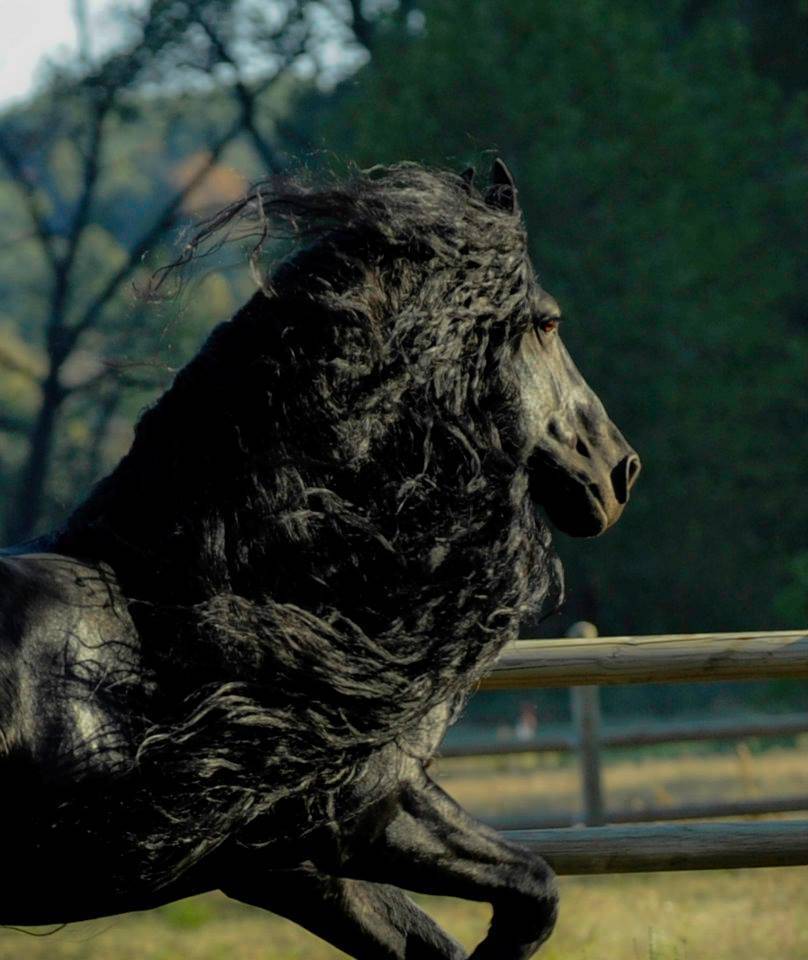 사진 작가들에게 가장 사랑 받는 말.jpg | 인스티즈