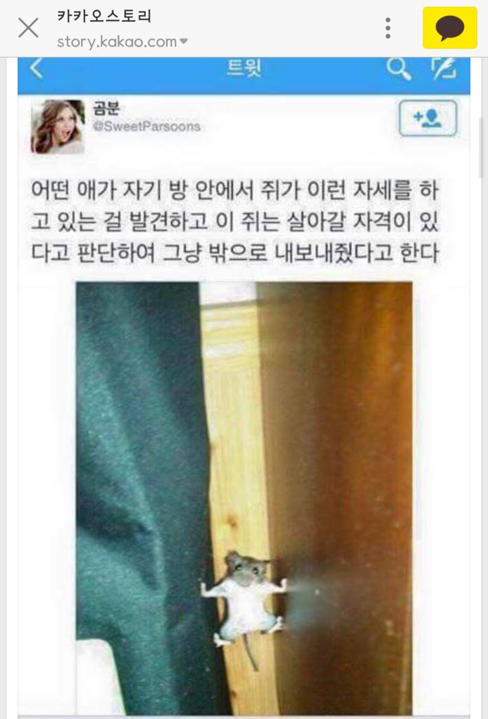 살아갈 자격이 있는 쥐 | 인스티즈