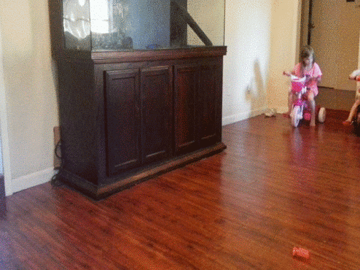 누나의 기술.gif | 인스티즈