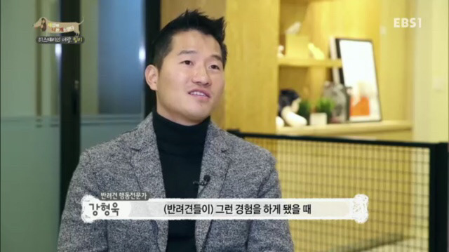 교배 업체에 보낸 후 사나워진 강아지 릴리 | 인스티즈