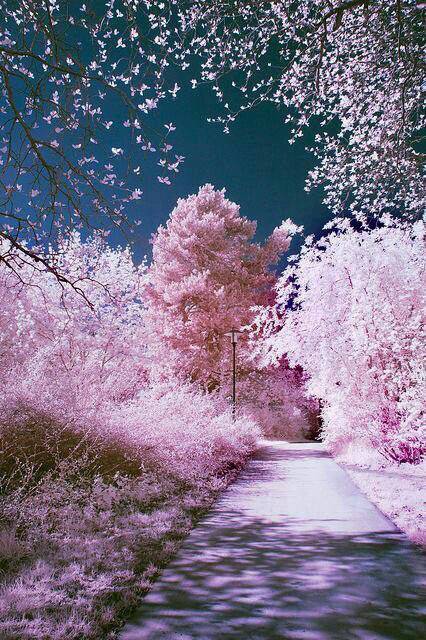 가장 좋아하는 계절은? | 인스티즈