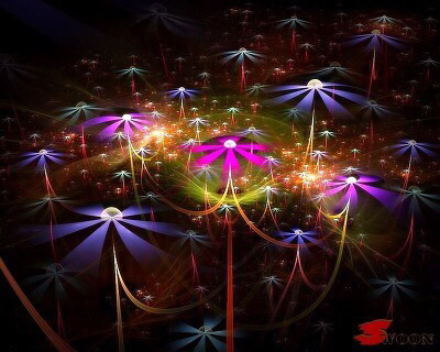 선인장 꽃 | 인스티즈