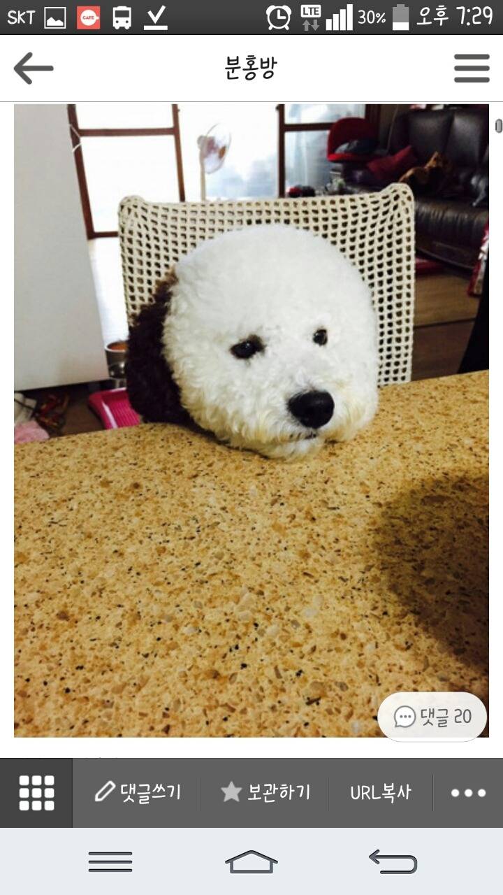 라면먹는데 거슬림 | 인스티즈