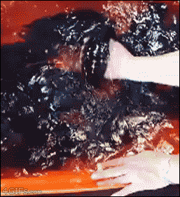 신기한 오징어 .gif | 인스티즈