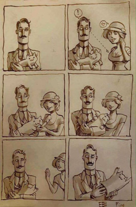 재미있는 고양이네요 ^&^ | 인스티즈