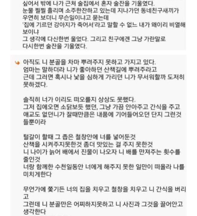 생각만해도눈물나고울컥하게만드는거뭐있어??! | 인스티즈