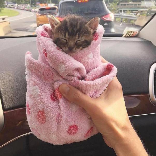 댓글이 필요 없는 사진들 | 인스티즈