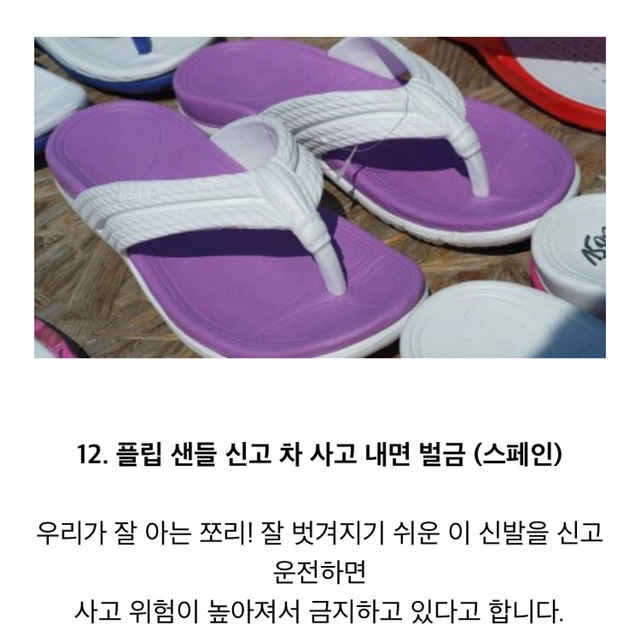 실제로 있는 각 나라의 금지법 | 인스티즈