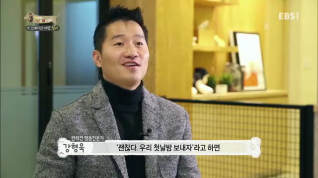 교배 업체에 보낸 후 사나워진 강아지 릴리 | 인스티즈