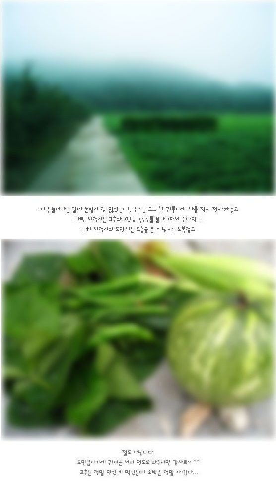 절도는 아니구요귀여운 서리에요^^ | 인스티즈