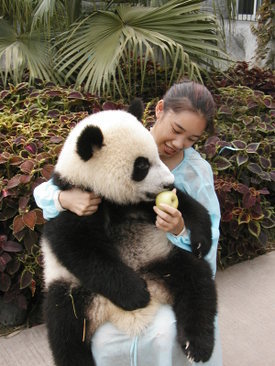 중국 판다 유치원 개학식 | 인스티즈