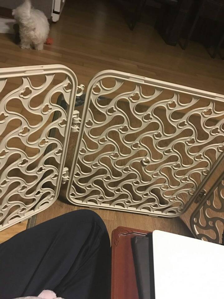 반려견이 나를 방해하는 것이 싫다면 반려견을 가두지 말고 나를 가두세요 | 인스티즈