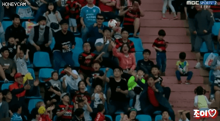 공으로부터 아이를 지켜내는 포항팬 아버지.gif | 인스티즈