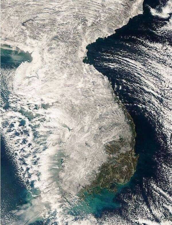 부산사람들이 눈오면 뛰어댕기는 이유 | 인스티즈